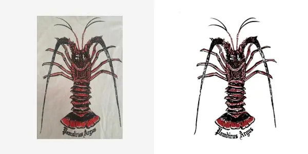 Raster to vector digitizing