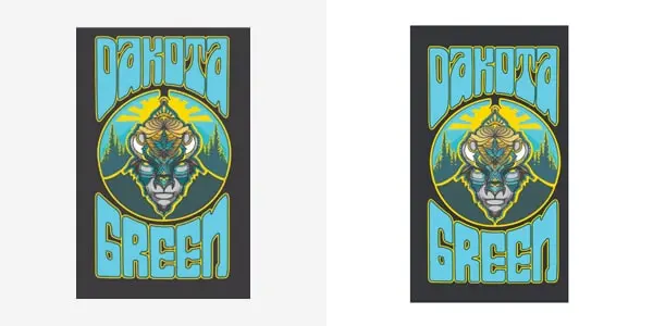 Raster to vector digitizing